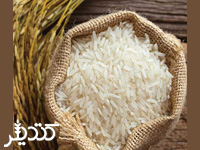 برنج فجر شمال (بوجار)